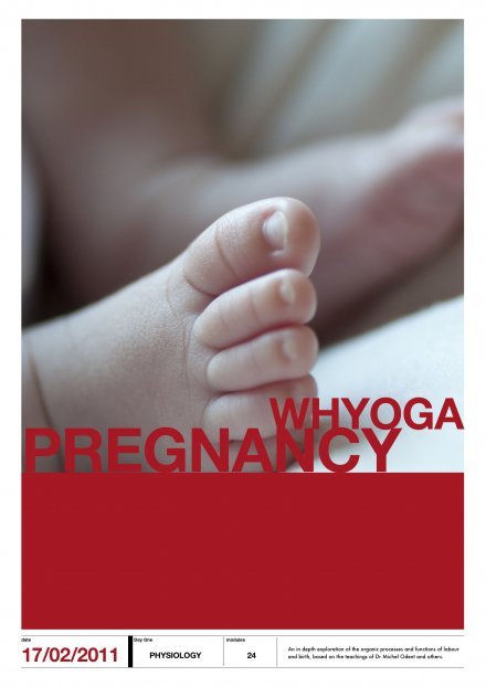 Yoga Teacher's Pregnancy Training Resource